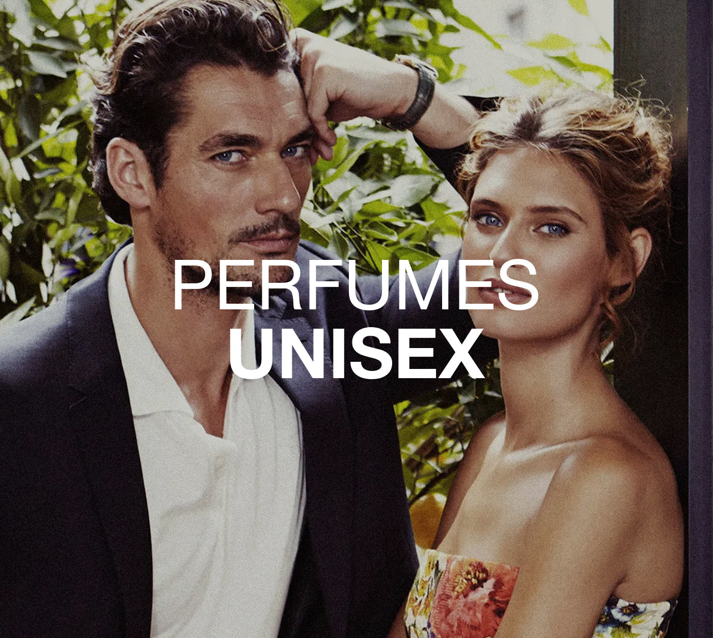 Perfumes Unisex